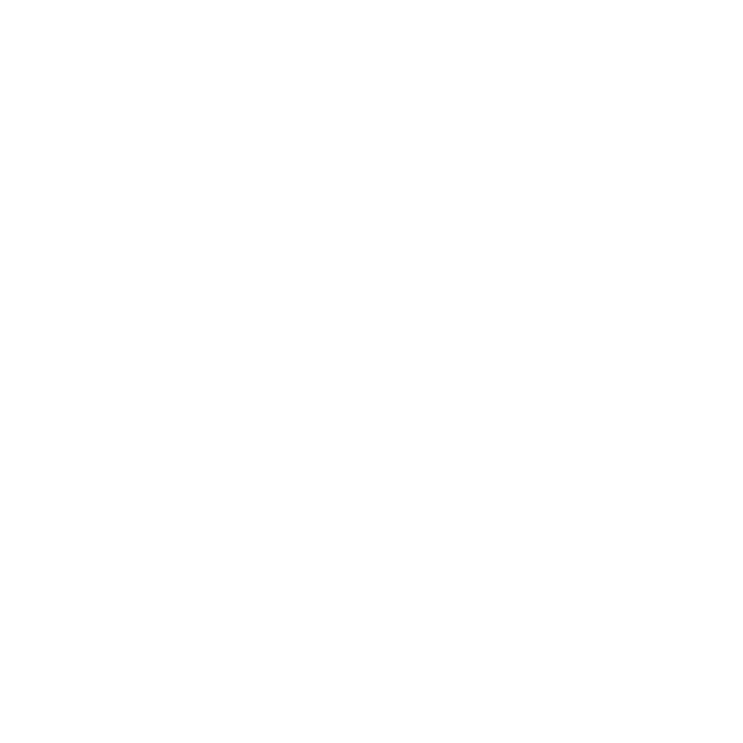 Phone-white-icon.png