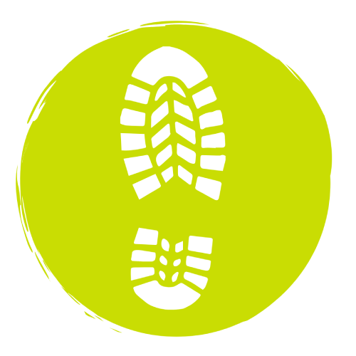 step-tracking.png